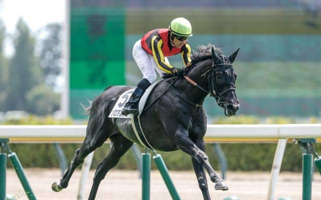 【今日の注目ポイント】東京で2歳マイル重賞サウジアラビアRC