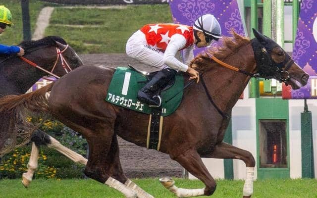 サウジアラビアRCは人気馬が好成績 速い上がりを使える馬に注目