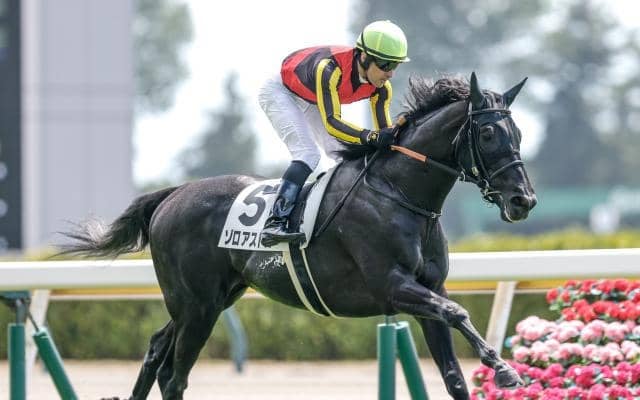 【サウジアラビアRC予想】出世レースの2歳重賞 スピードと瞬発力に加え操作性の高さも重要に