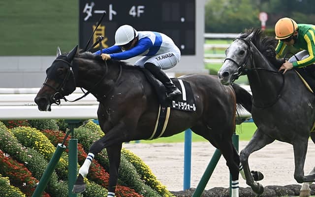 【紫菊賞結果】ロードラヴォールが競り合いを制し、レコードで無傷2連勝