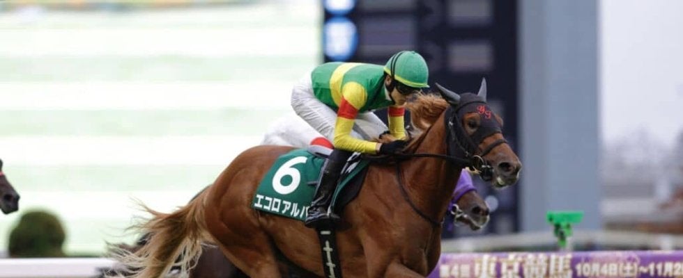 【サウジアラビアRC】エコロアルバがゴボウ抜き！デビュー2連勝で重賞初制覇