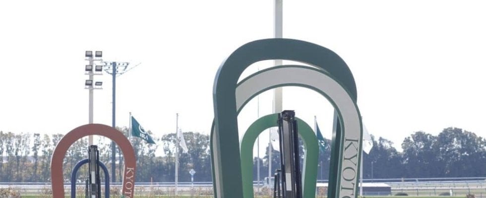 【紫菊賞】断然人気ロードラヴォールがデビュー2連勝