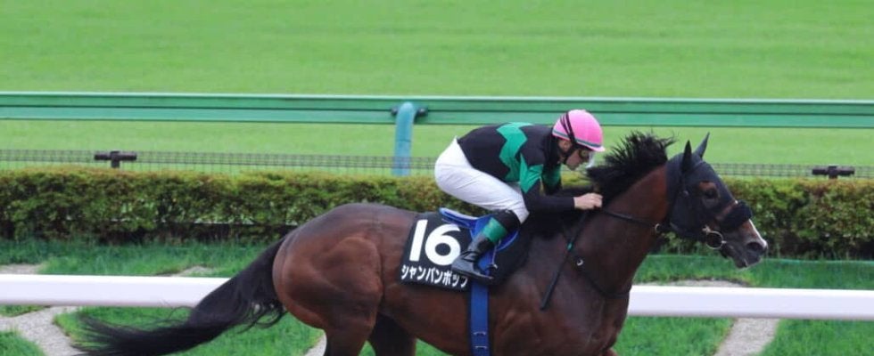 【東村山特別】断然人気シャンパンポップが圧勝