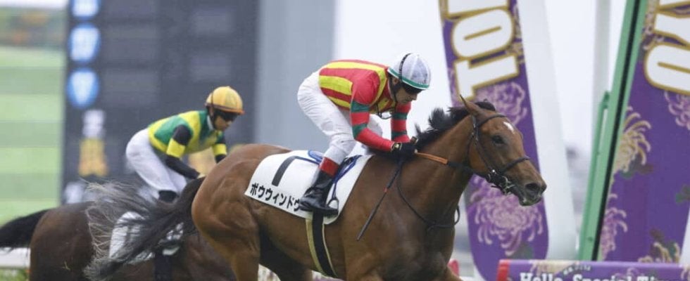 【東京7R】良血ボウウィンドウが連勝…母はフローレスマジック