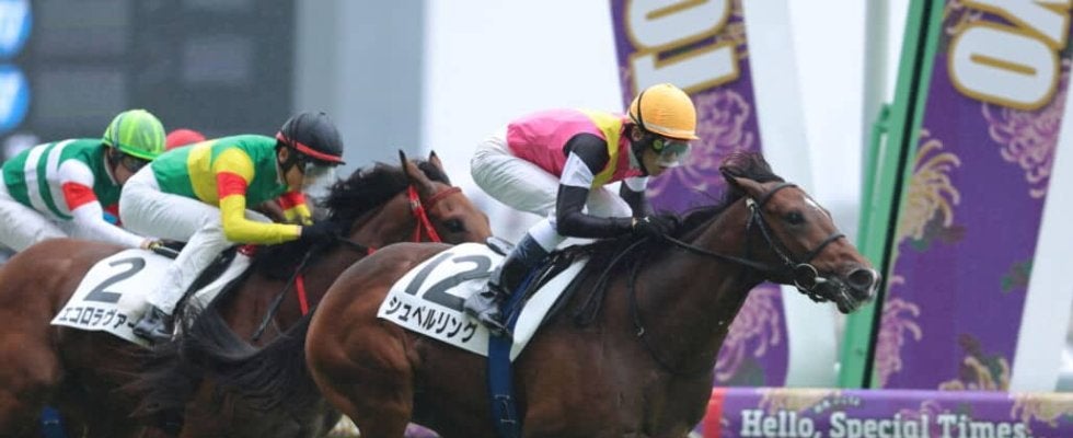 【新馬/東京5R】シスキン産駒 シュペルリングがデビューV