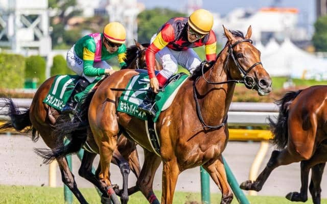 【アイルランドT前日オッズ】セキトバイーストが4.0倍で1番人気