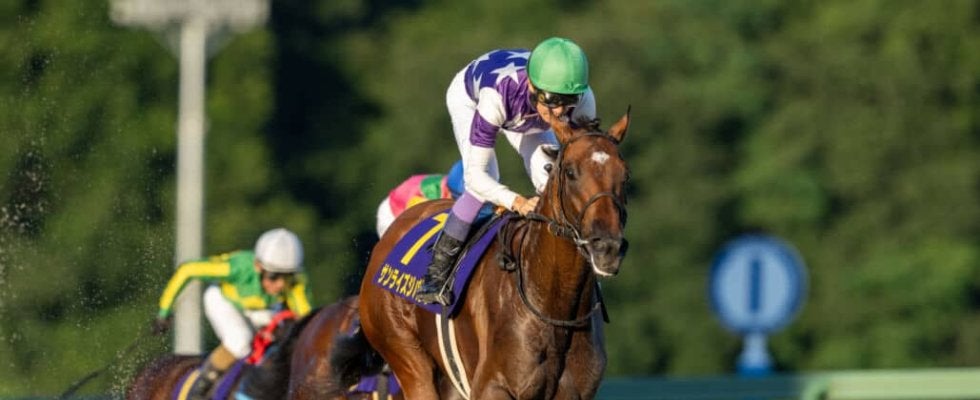 【南部杯】武豊サンライズジパングは大外へ…ダートのオールスターが集結