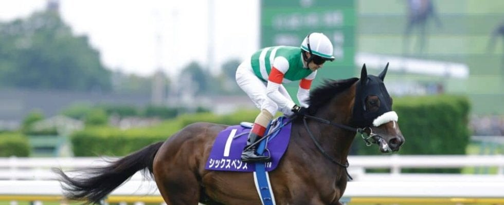 【南部杯見どころ】中央の精鋭と地方の雄が激突…初ダート・シックスペンスも参戦へ