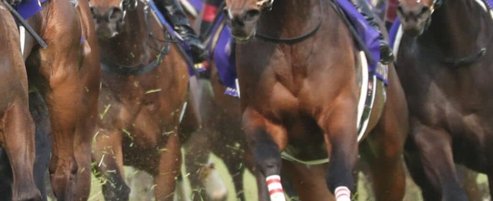 上村洋行調教師 JRA通算200勝達成