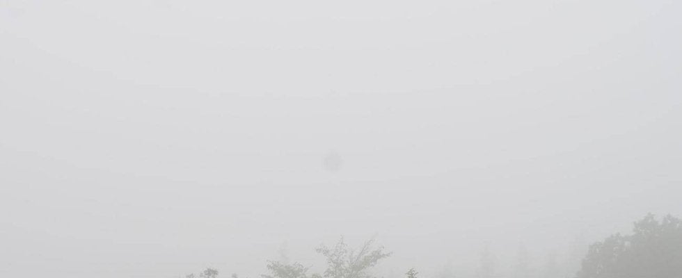 国内女子ツアー史上初、変則９ホールで実施　「霧による視界不良のため」スタート時間が大幅遅れ