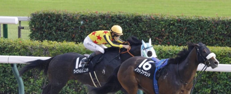 【テレビ静岡賞】ワイワイレジェンドが逃げ切る…ルメール騎乗、ノットファウンドはスタートで落馬