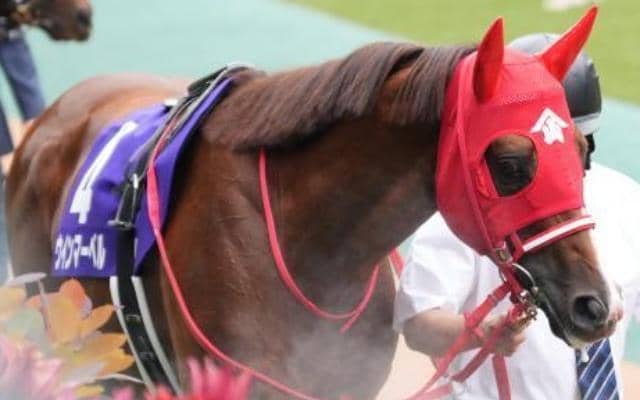 京都芝はまだ内＆前有利 スワンSはウインマーベルが軸に最適