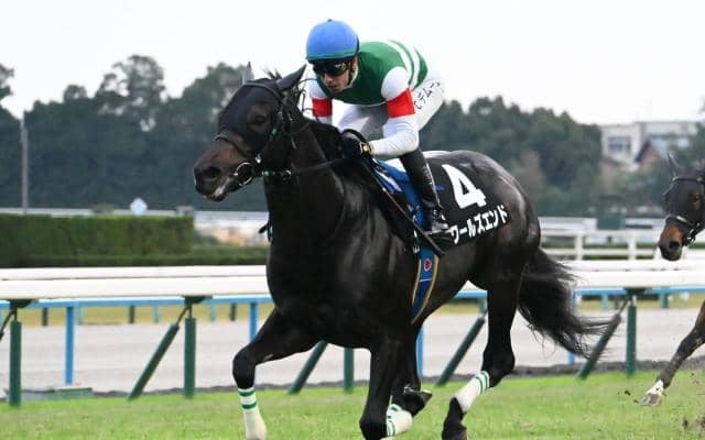 【AI予想・スワンS】非根幹距離への高い適性が好走の鍵！ 人工知能も前走内容や血統背景から距離適性の高さを重視