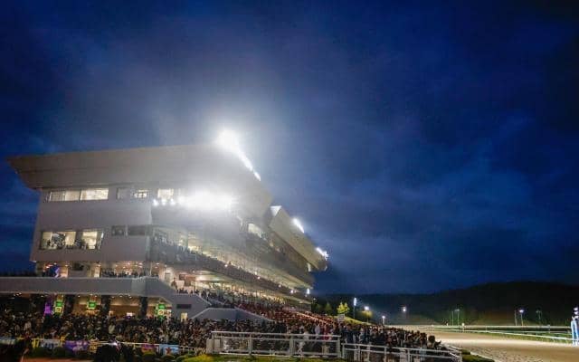 【盛岡・南部杯結果】ウィルソンテソーロが突き抜け4馬身差完勝！ GI級2勝目