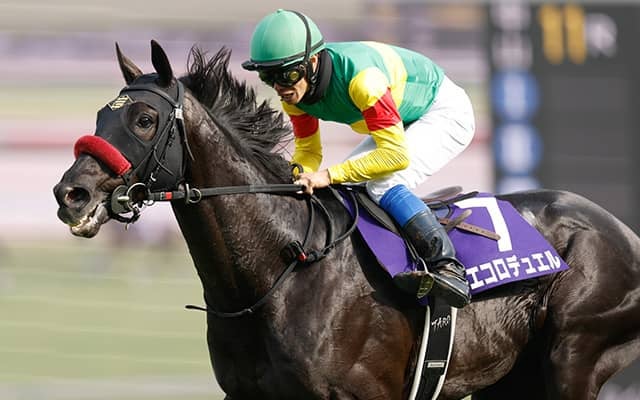 【東京HJ】エコロデュエル、ジューンベロシティらが登録