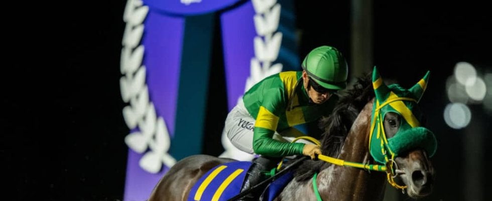 【南部杯】川田「素晴らしい走りで勝ち切ってくれてホッとしています」ウィルソンテソーロが交流G1・2勝目