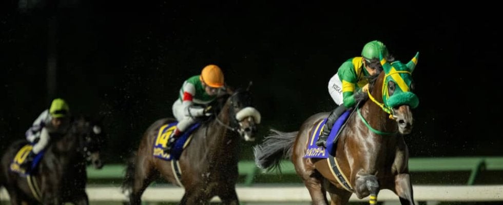 【南部杯】23億円超で売上レコードを記録