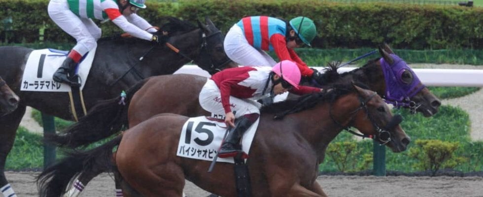 初勝利がかかったルーキー谷原柚希は惜しい2着…女性ジョッキー結果