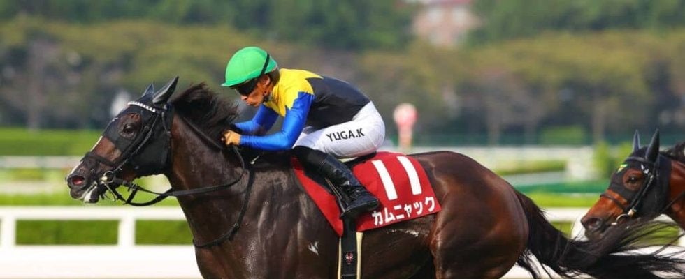 【秋華賞登録馬】カムニャック、エンブロイダリーなど22頭