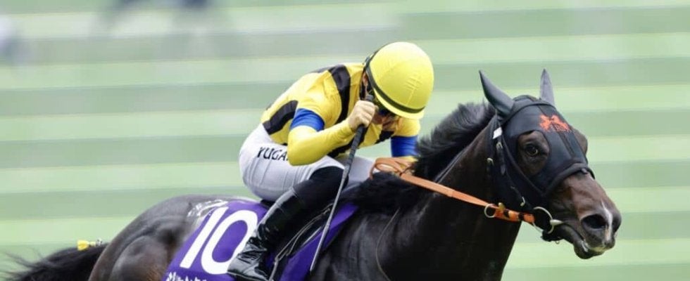 【富士S登録馬】ジャンタルマンタル、ソウルラッシュなど15頭