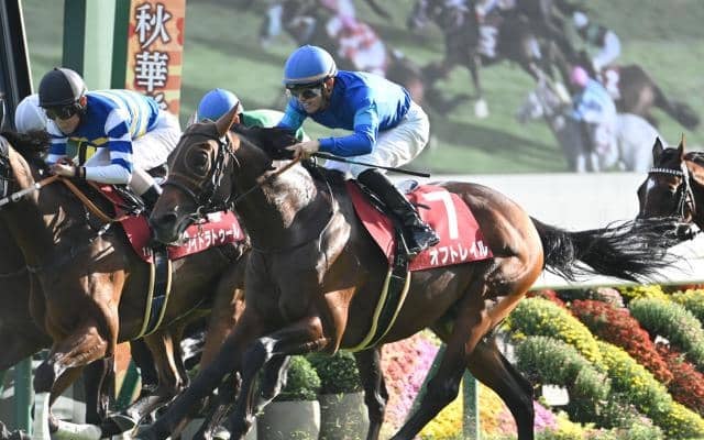 【スワンS】売上は77億5608万9200円で昨年より約38億円増加 今年から開催時期が2週早まる