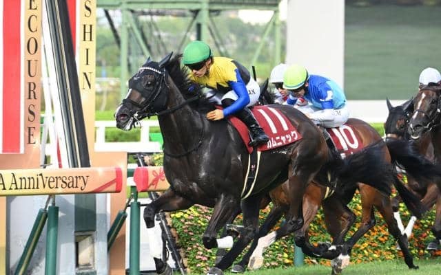 【秋華賞予想オッズ】カムニャックが予想1番人気