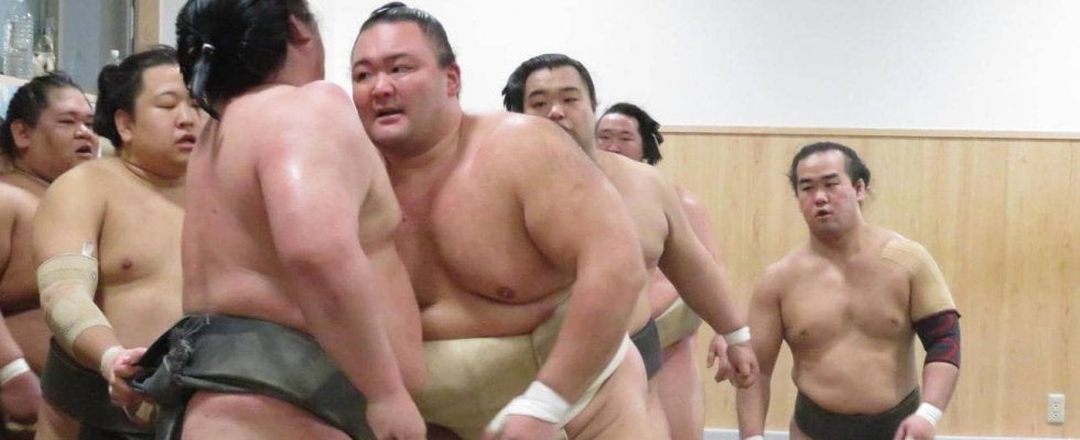 朝乃山が来年初場所の再入幕意欲　九州場所は「２桁勝利は必ず。いい成績でいい年迎えられたら」