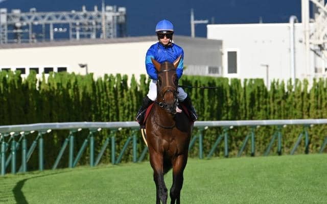 スワンSを制覇したオフトレイル 勝利の鍵は血統が示すコース適性にあり