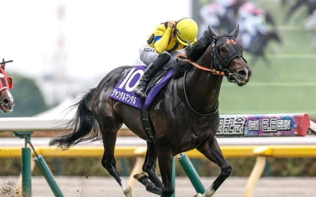 【富士S予想オッズ】ジャンタルマンタルが予想1番人気