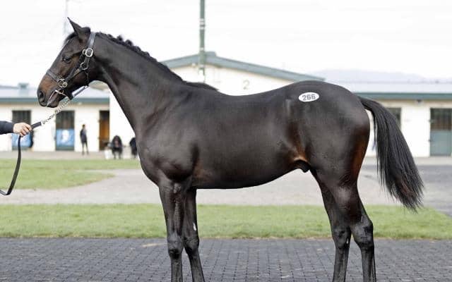 2025オータムセール2日目 最高価格は「サンギネアの2024」で1250万円