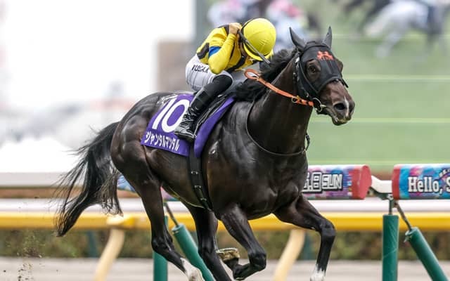 【富士S展望】実績上位のGI馬ジャンタルマンタルが秋初戦を飾るか