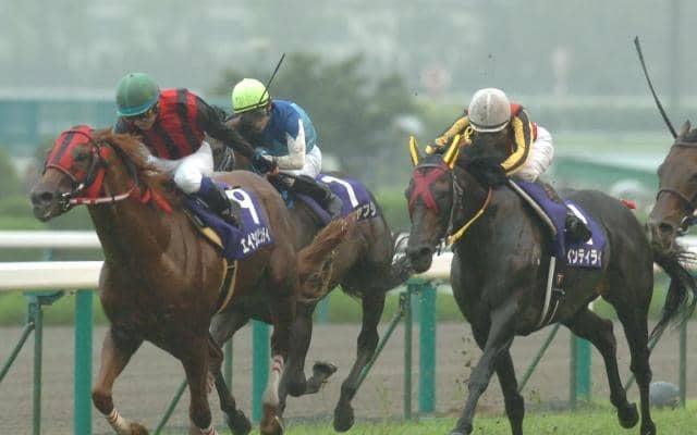 エイシンデピュティが23歳で死す 08年宝塚記念など重賞4勝