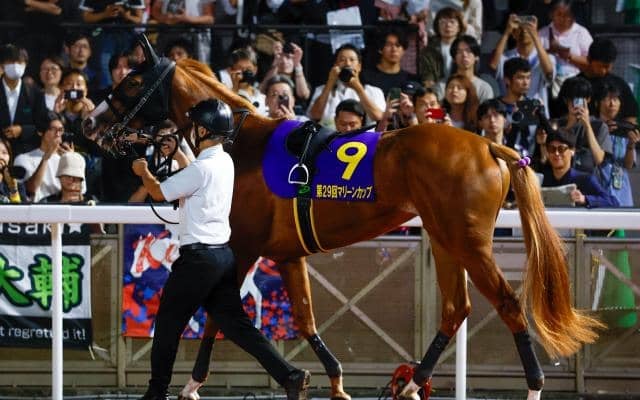 「前走ダート」の異例ローテで秋華賞Vへ クリノメイが17年前の1000万馬券を再現するか