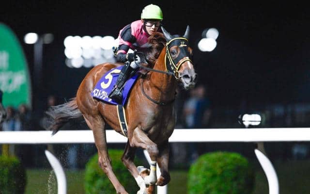 【川崎・鎌倉記念結果】ベストグリーンが4馬身差圧勝で無傷4連勝 重賞3勝目を挙げる