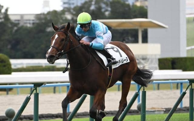 【秋華賞予想】3歳牝馬三冠の最終関門は枠次第？ AIは妙味ある一頭を指名