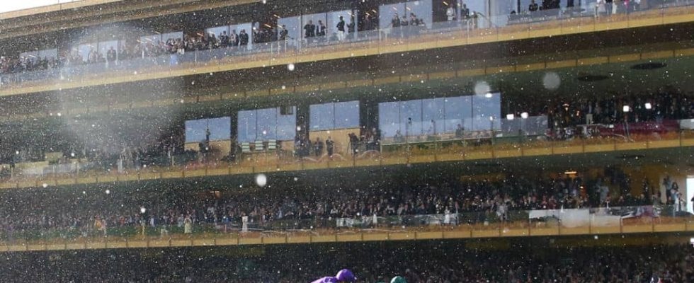 ジャパンカップとチャンピオンズカップに海外から計23頭が予備登録…愛ミニーホークなど