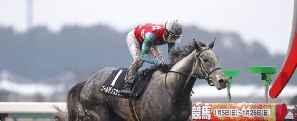 【豪コーフィールドカップ】ゴールデンスナップ上昇ムードで状態は万全