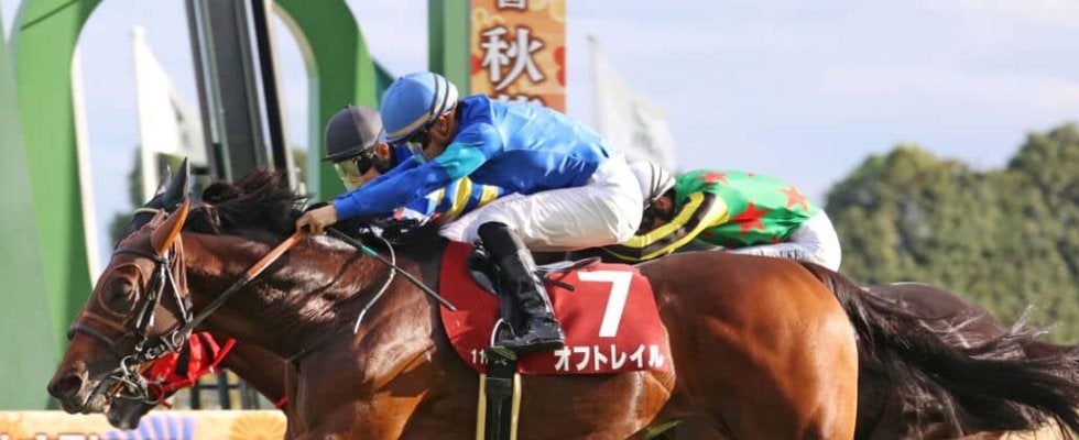 【スワンS】レコード決着！オフトレイルが重賞2勝目