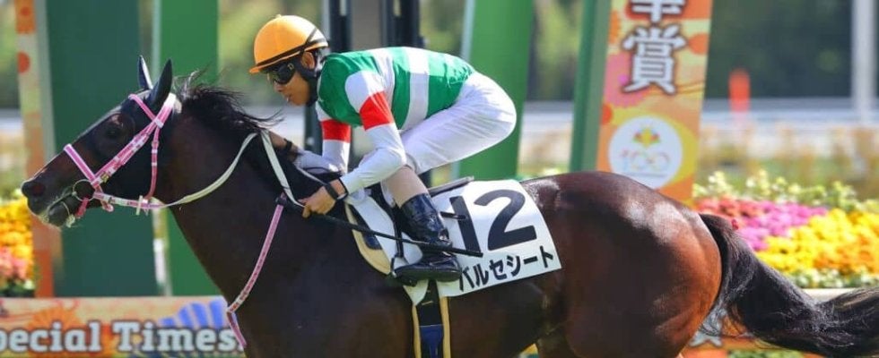 【新馬/京都6R】レシステンシア半弟 バルセシートがデビューV