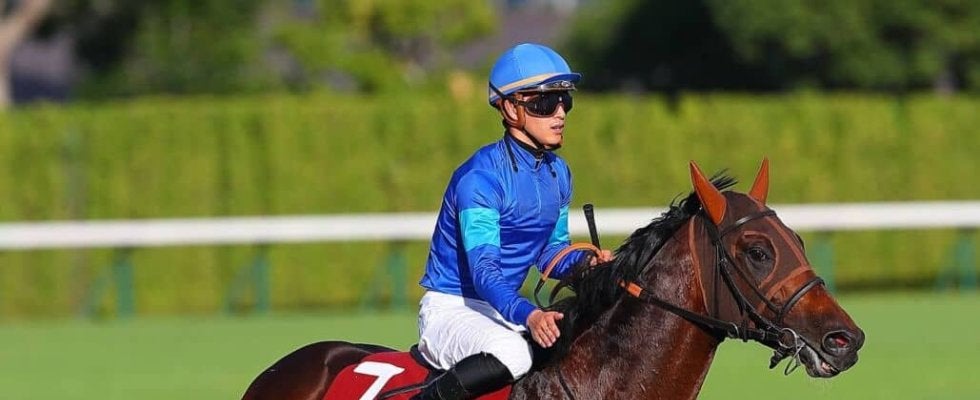 【スワンS】菅原明「当初の予定とは違ったレースになり…」オフトレイルがレコードV