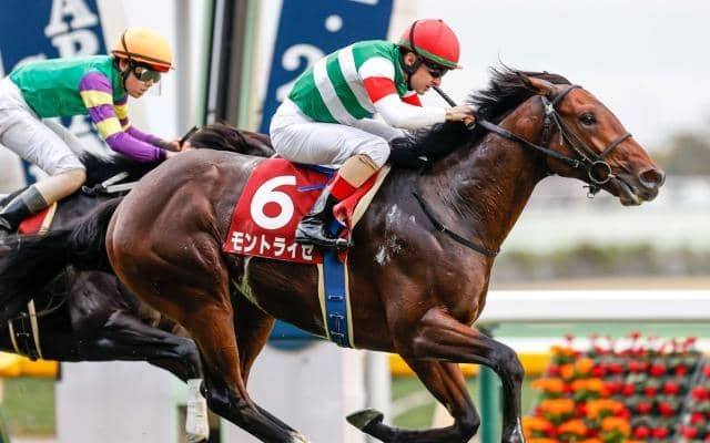 20年京王杯2歳S覇者モントライゼが登録抹消 京都府で乗馬になる予定