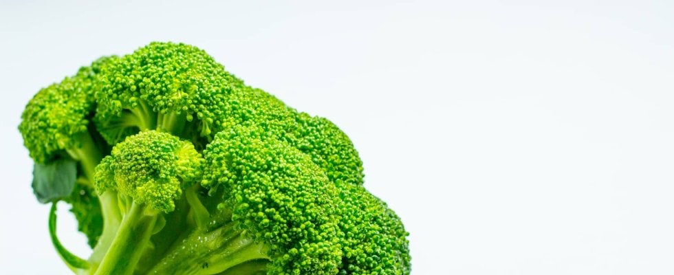ブロッコリーを食べると幸せホルモン「オキシトシン」が出る可能性、キユーピーの研究結果で判明