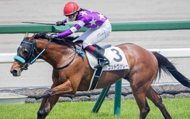 ソフトバンクの柳田悠岐選手 土日で愛馬2頭出しだ