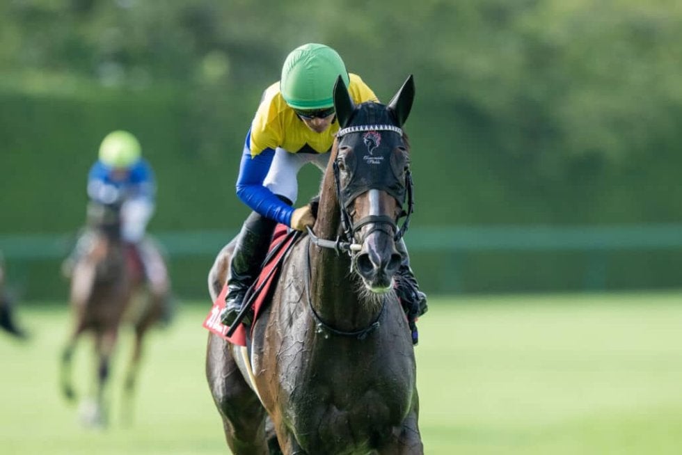 秋華賞】桜花賞馬＆オークス馬が激突…枠順確定 | その他競技