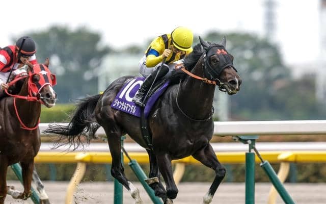 【今日の注目ポイント】東京でマイルCSの前哨戦・富士S