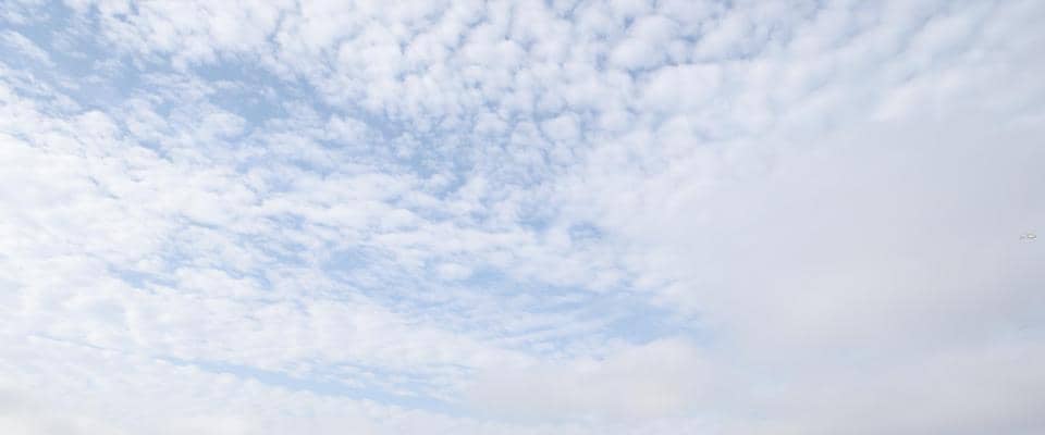 わずか１７秒差の明暗　１０位滑り込みに立大は歓喜の涙　高林監督「１秒を大事に走ってくれた」エース馬場欠場も執念切符　馬場は笑顔「僕抜きでも…と思っていた」