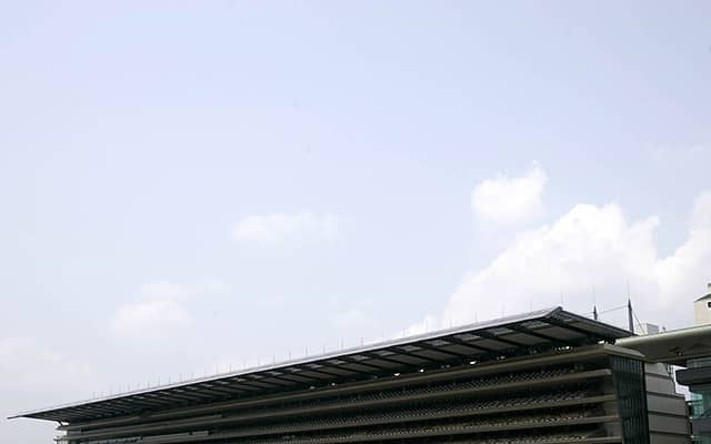 【アイビーS結果】アンドゥーリルが人気に応えて2連勝