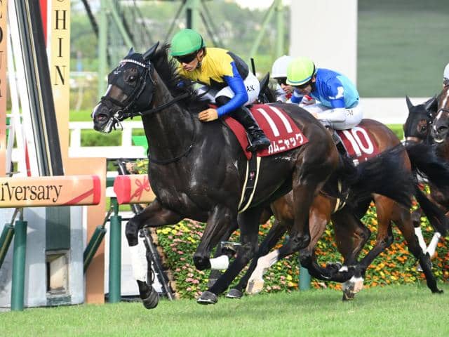 秋華賞前日オッズ】オークス馬カムニャックが2.2倍で1番人気 | その他