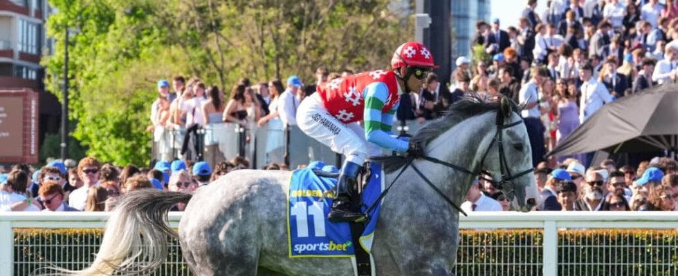 【豪コーフィールドカップ】浜中「馬場もこの馬にはちょっとタフだった」ゴールデンスナップは14着