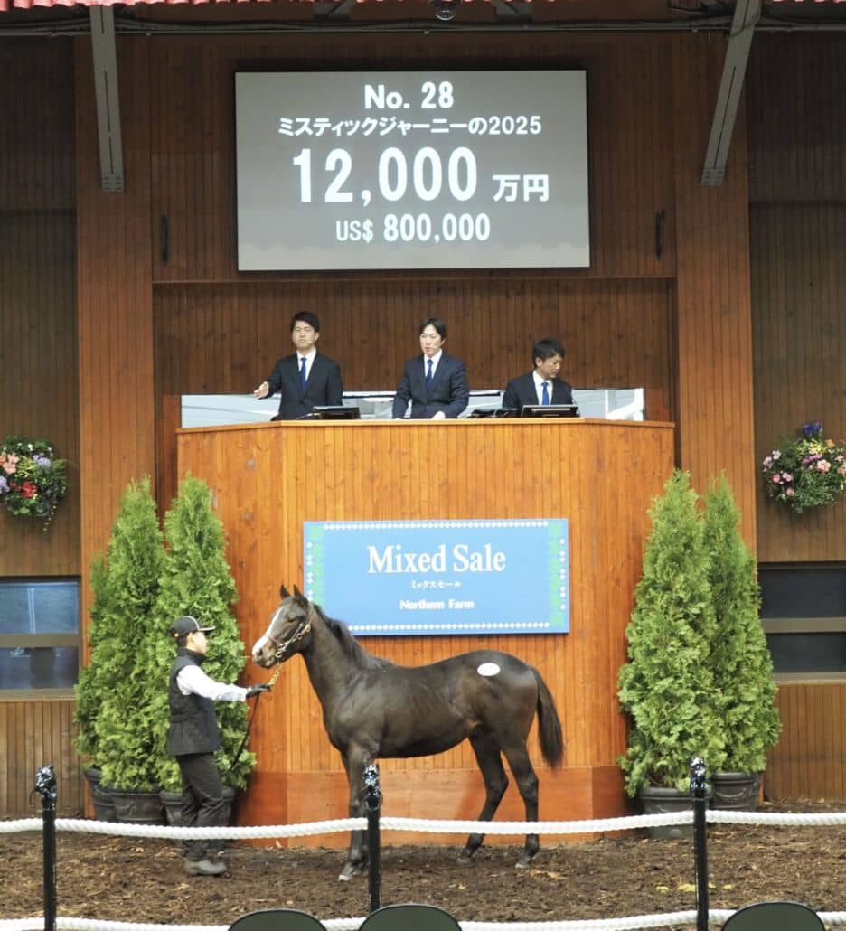 ミックスセール2025】イクイノックス産駒、最後の上場馬は1億2000万円